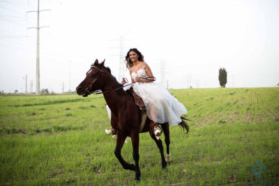 
					צלמי חתונות - צילום חתונה - אל עבר השקיעה    
                    